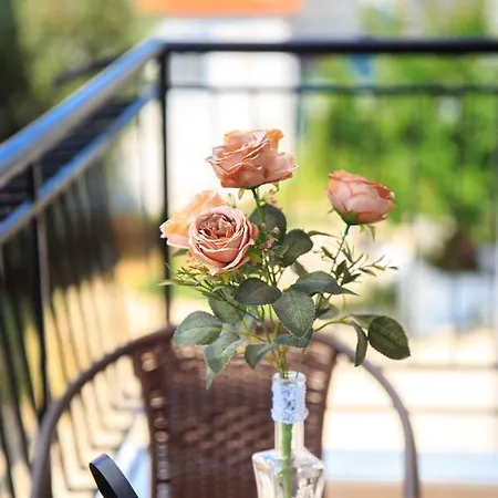 Theodore Apartamento *