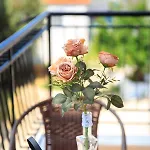 Theodore Lejlighed *